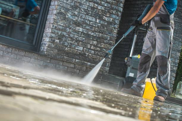 Best Roof Washing  in Olivehurst, CA