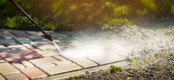 Best Roof Washing  in Olivehurst, CA